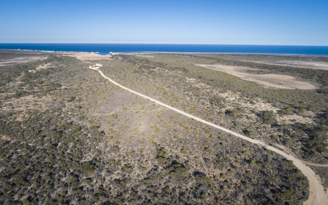 Global asset manager Arowana partners with ICAM & T-Ports