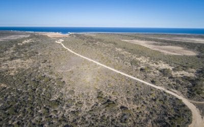 Global asset manager Arowana partners with ICAM & T-Ports