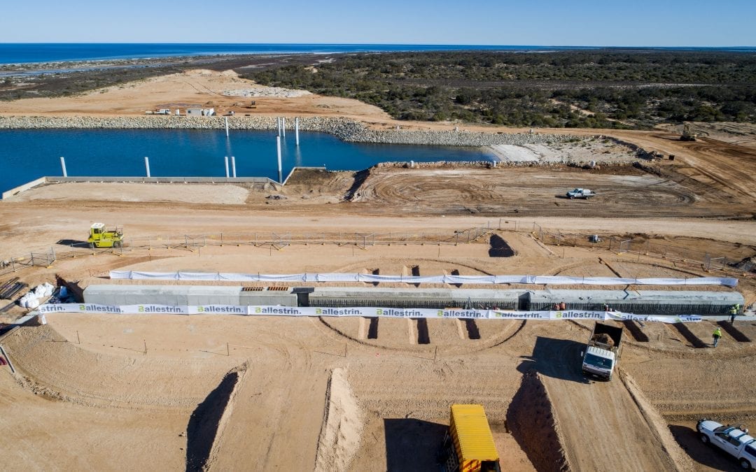 T-Ports on track to receive grower deliveries in harvest 2019