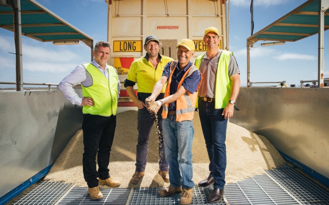 T-Ports receives first loads of 2020 season grain into Lucky Bay bunker site