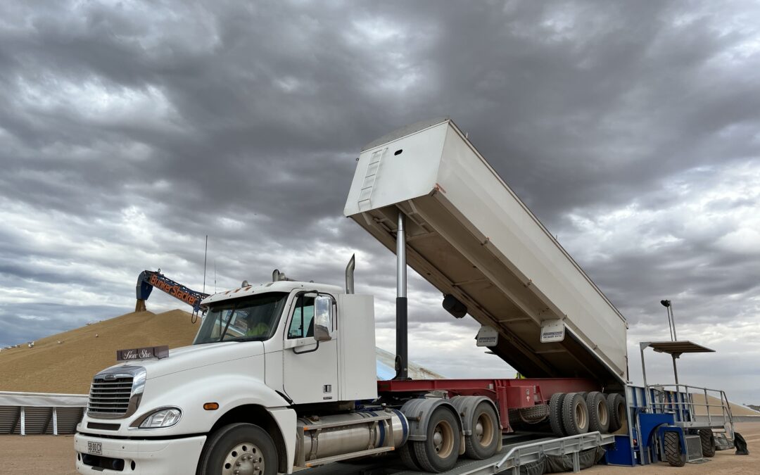 Wallaroo – Come for a ride with us