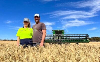 1 MILLIONTH TONNE RECEIVED FROM GROWERS BY T-PORTS